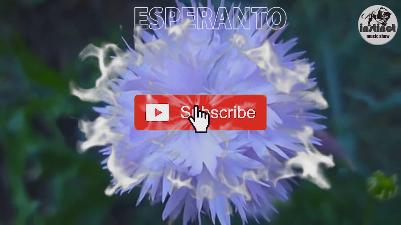 La tempo somera - Esperanta muziko | Красивая летняя песня  |  Music Show 88