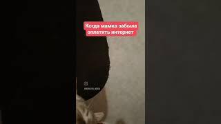 #Shortscats #Cat #Ржачныевидео #Смех_До_Слез #Tiktok #Смех