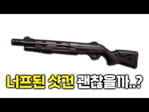 네온과 같이 너프된 샷건.. 어떻게 써야할까..? thumbnail