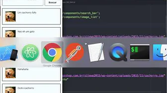 cursos/0003-pesquisa-de-imagens-react-native: Requisição HTTP com o fetch para Obter Resultados de Busca de Imagem Pela API