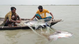 বন্যার পানিতে ঘের ও পুকুরের সব মাছ নদীতে| জাল দিয়ে বড় বড় মাছ ধরা-Big fish catch flood water in River