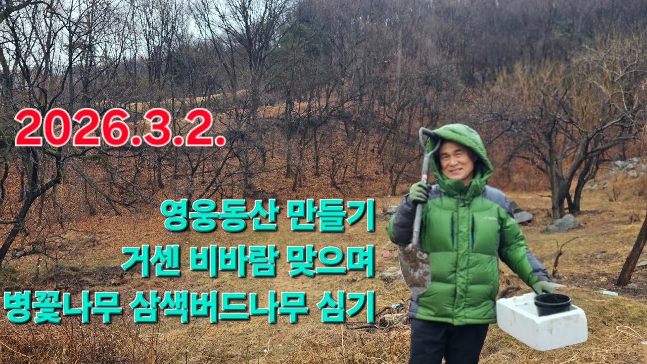 영웅동산가꾸기6 비바람속 병꽃나무 묘목심기