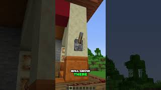 Steves Lava Chicken Farm #minecraftbuilding #minecraftfarm #minecrafttutorial