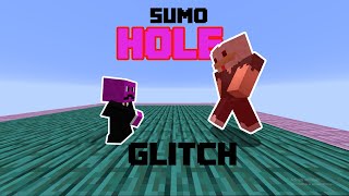 Hole in HYPIXEL Sumo GLITCH