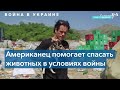 Оператор дронa спасает из-под завалов в Украине брошенных питомцев