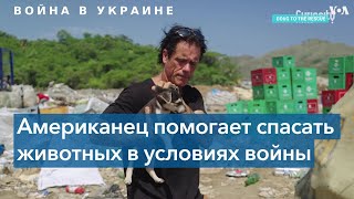 Оператор дронa спасает из-под завалов в Украине брошенных питомцев screenshot 5