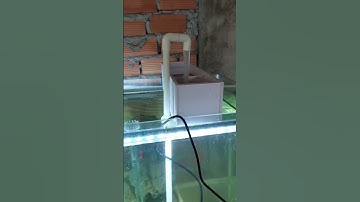 Bộ máy bơm kèm hút mặt hút đáy bể cá 200L - 1 khối cao cấp #xuhuong #xuhuong  #maybomnuochoca #baoyu