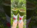 超濃厚な抹茶ブリュレクレープ