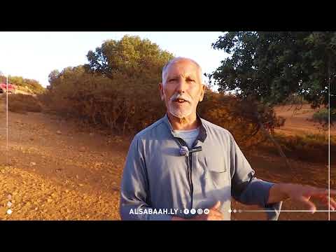 الصباح تابعت القضية مع مسؤلي الثروة الحيوانية ومربي الأغنام اكسبلور الصباح شاهد