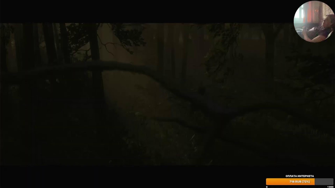 Сюжетное прохождение Red Dead Redemption 2 PlayStation 4