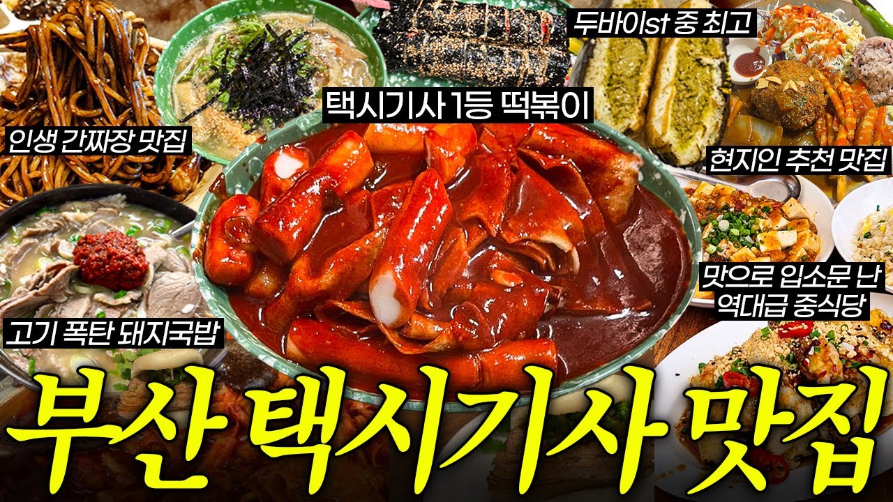 기사님들 인생 맛집 클라스 미쳤네...