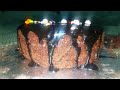 Home Made Delicious Chocolate Coating Cake - ​cake recipe by Sela's kitchen - Homemade ChocolateCake