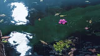 lofi.samurai - hibiscus harmony