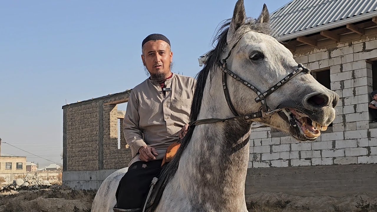 ТАКСЫРДЫН БУРАГЫ 🔥ЖЕЙРЕНДИ 20 МИҢГЕ САТКАМ