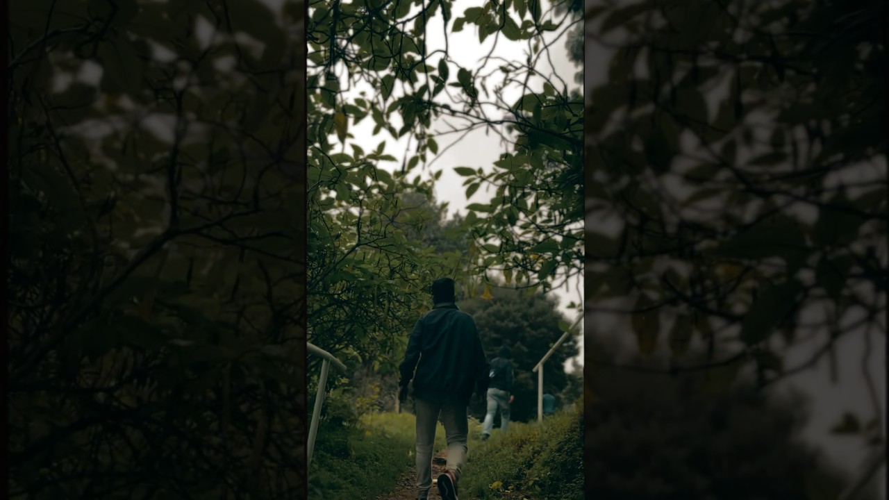 If you love rain, your dream destination to enjoy monsoons in the mountain is kodaikanal 