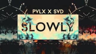 2. Pvlx X Svd - Slowly