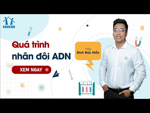 Video GPPEN2023 [BGHT] Quá trình nhân đôi ADN- Thầy Đinh Đức... - youtube