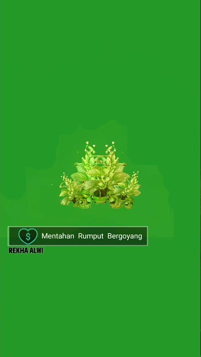 mentahan rumput bergoyang part1088 #nature #shorts #greenscreen