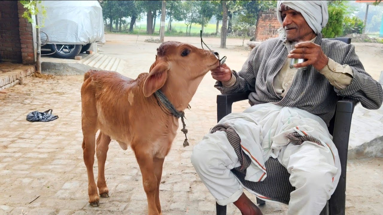 FIGHT हो गई बृंदा से बाबूजी की.. 👊👊