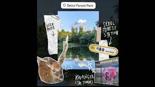 “Seongsu-dong Lo-fi Walk 🌿”