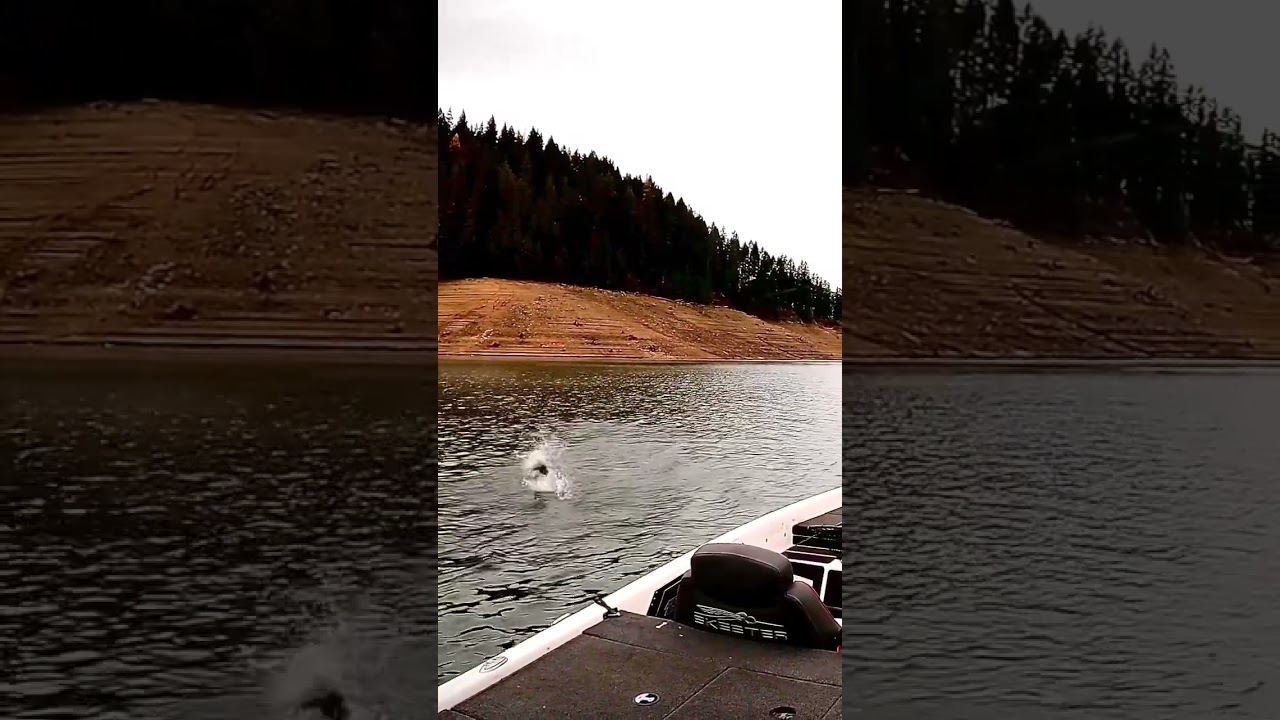 This 6lber was HOT!! 