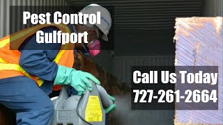 Pest Control Gulfport FL - 24 Hour Domestic Exterminators Bed Bug Control & Termite Treatment