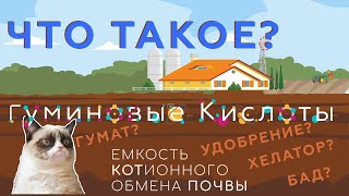 Гуминовые кислоты. Гумусовые кислоты. Гуматы. Как работают гуматы?