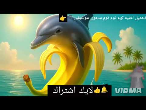 اغنيه توم توم توم سحور موسيقى