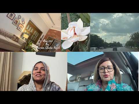 Vlog #220: Magnolia & Bridal Project
