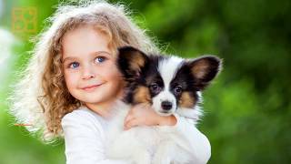 Find Your Perfect Match At Petland Lewis Center