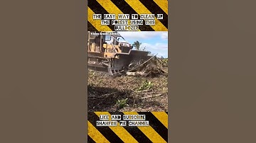 The easy way to clean up the forest #trending #trendingshorts #shorts