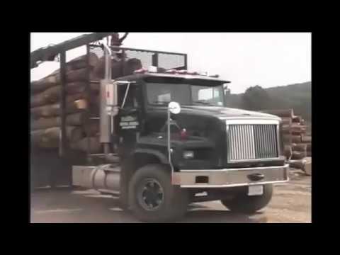 Hardwood Lumber Facilities Baillie Lumber Baillie Lumber Hardwood Supplier