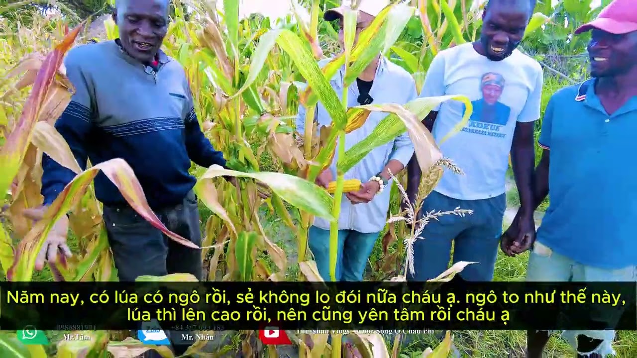 Thế Nhân || Xót Xa Nhìn Trang Trại Gồng Mình Giữa Những Ngày Nắng Hạn Kéo Dài