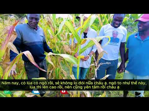 Thế Nhân || Xót Xa Nhìn Trang Trại Gồng Mình Giữa Những Ngày Nắng Hạn Kéo Dài