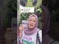 Cara Pakai Insektisida