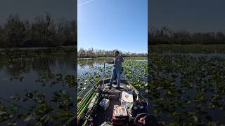 St. Johns River Crappie — Cork &amp; Jig Action!