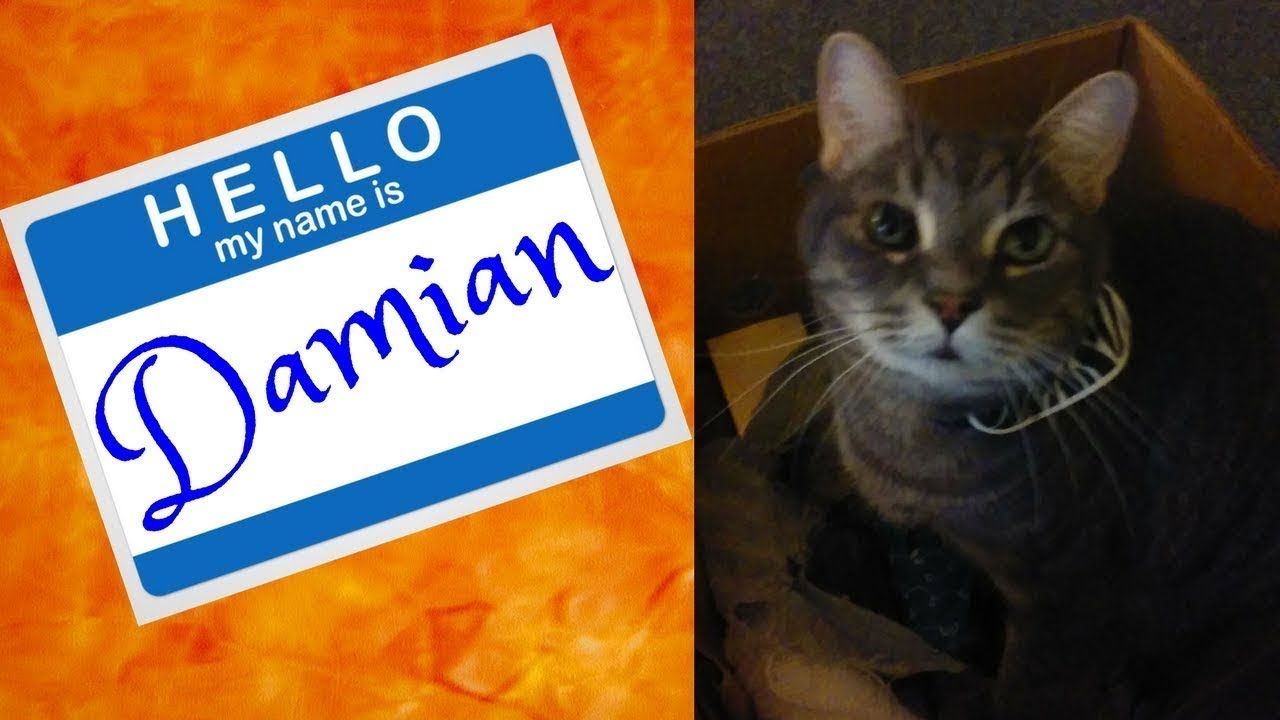 you & me sisal cat scratching post