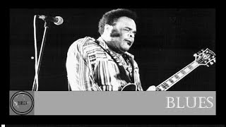 Freddie King - Living On The Highway