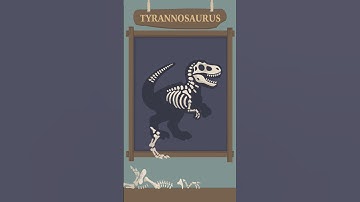 Sort It Right:Relax Puzzle Level 24 #newlevel #gamepuzzle#games#newlevel#puzzle#newupdatelevel#game