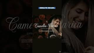 Gastonia — Elegant Modern Calligraphy Script Font