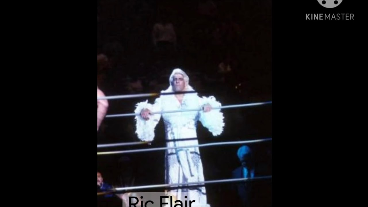 Some greatest ring performers of WWE of all time