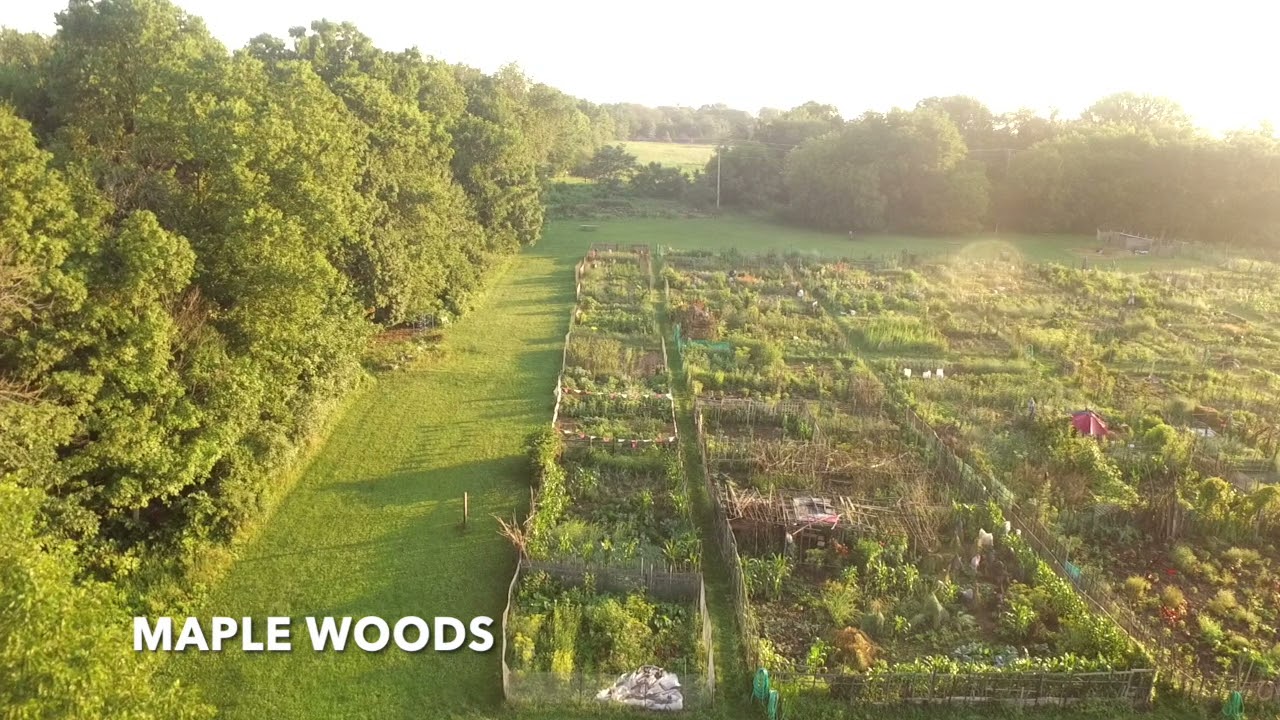 ROOTED TROY FARM VIDEO YouTube