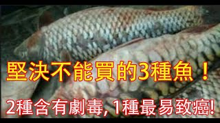 魚毒種類 Lauranes