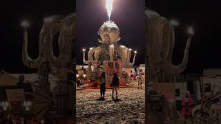 El Pulpo Magnifico - 2023