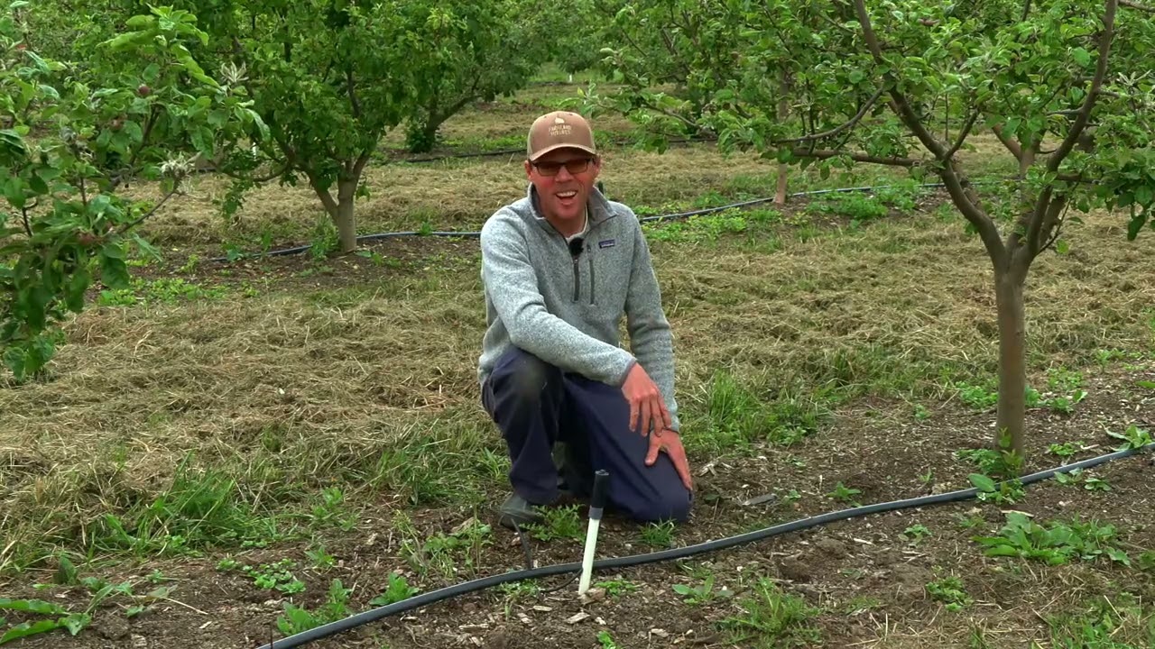 Irrigating an Apple Orchard at Farm Scale
