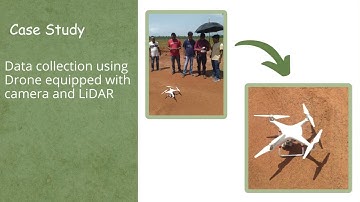 Plantation Monitoring through Drone and AI
