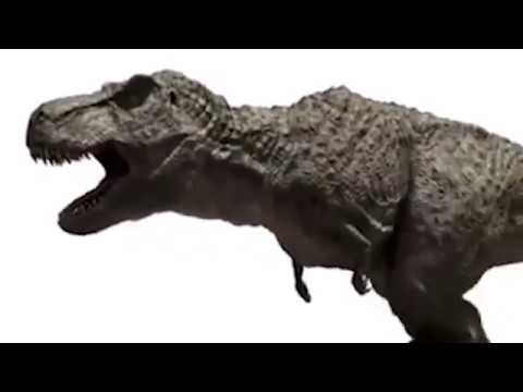 Video: Scientists Have Recreated The 