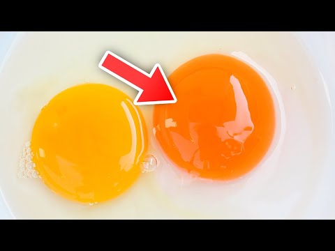 La couleur de vos jaunes d&rsquo;œufs compte vraiment, voici pourquoi...