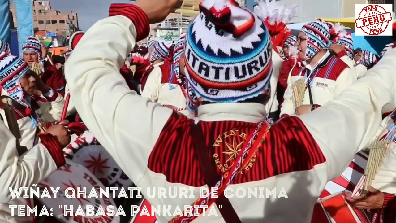 Wiñay Qhantati Ururi de Conima // Jabasa Pank'arita 2019.