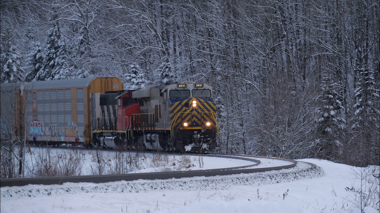 3 Train Day with CN Z121, CN M305 & CN M306 1/6/26